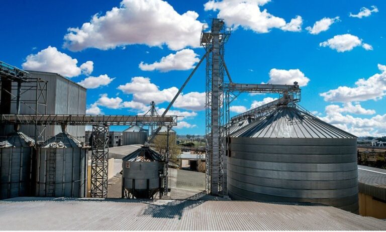 photo 2025 11 24 15 18 35