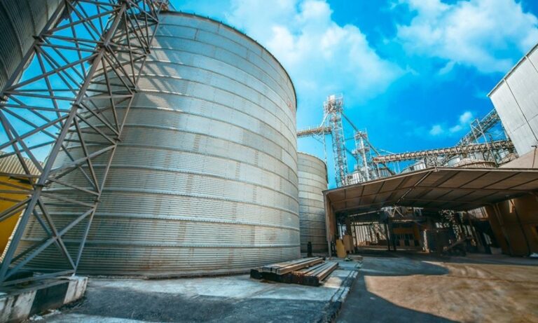 photo 2025 11 24 15 18 38