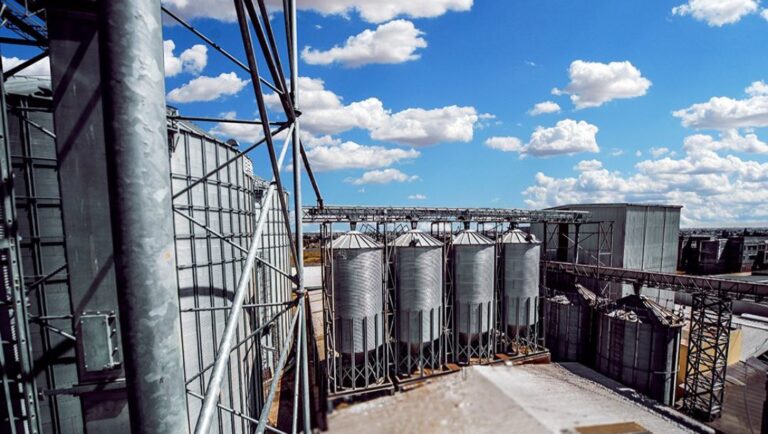 photo 2025 11 24 15 18 39