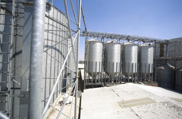 photo 2025 11 24 15 19 08